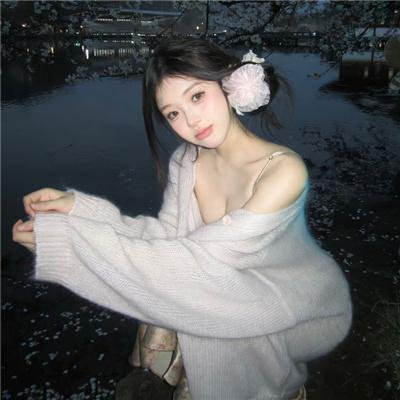 飞来的白鸽