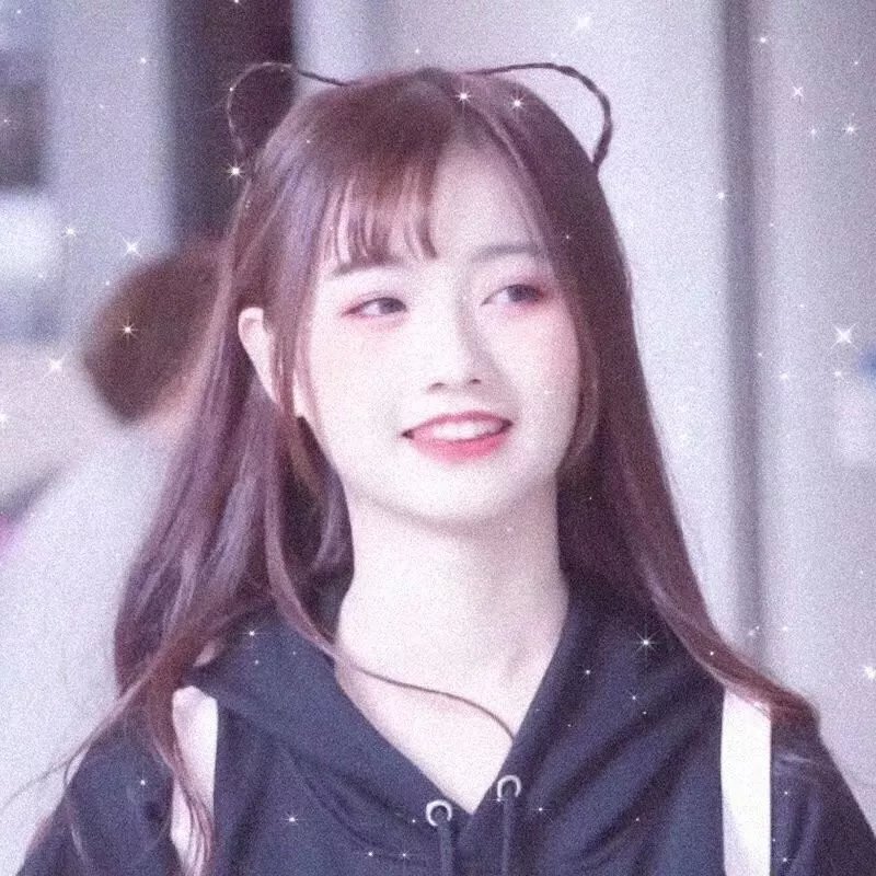 来自中国的熊猫